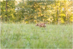 virginia engagement photographer